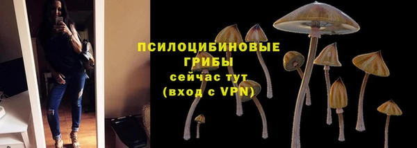 спайс Абаза