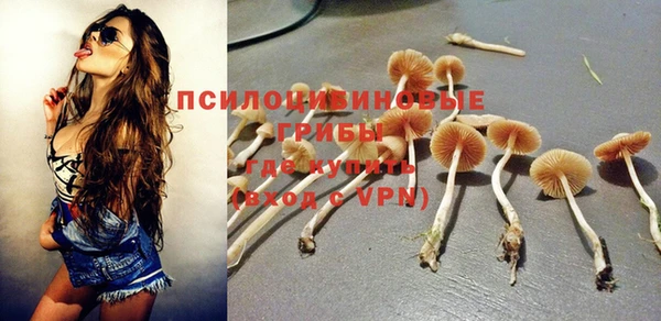 спайс Абаза