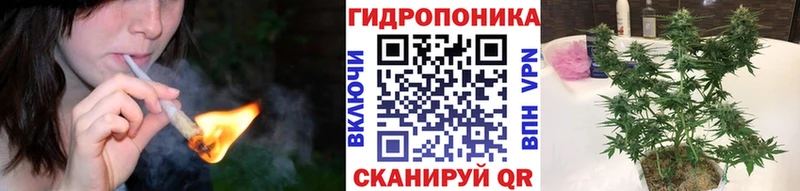 Каннабис семена  Яхрома 